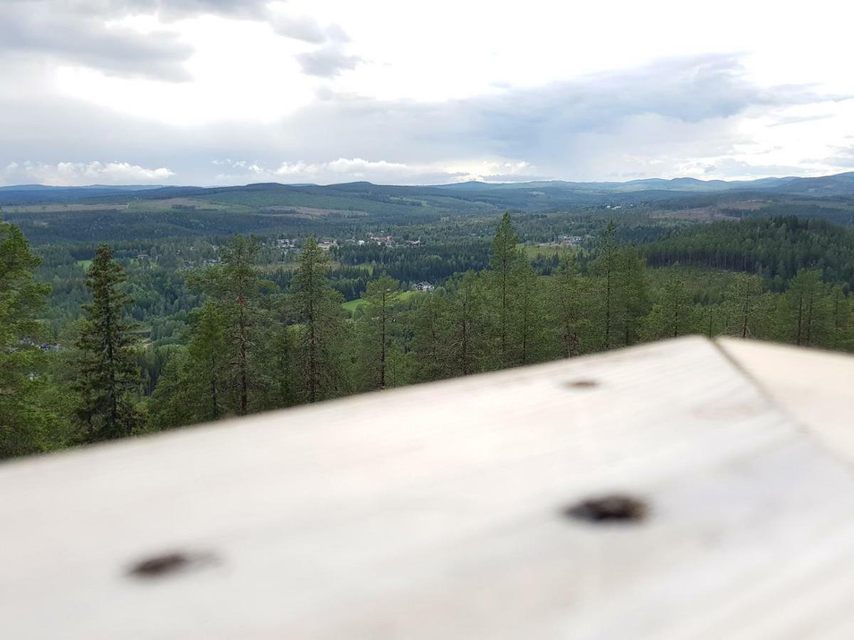 Bjoernforsens Turist & Konferenshotell, Naera Husum, Oernskoeldsvik Bjorna Zewnętrze zdjęcie